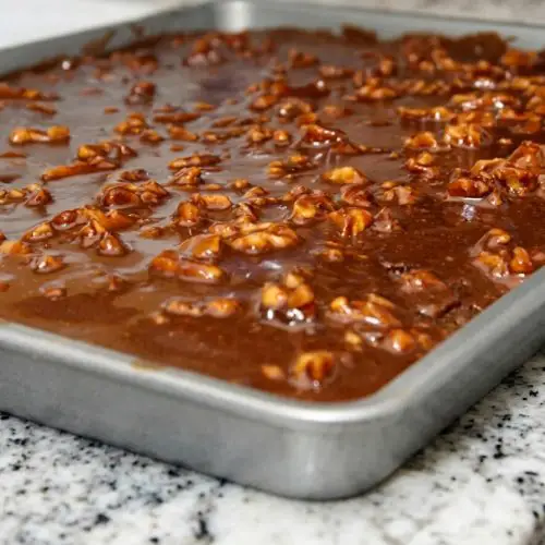 Sheet Cake That Tastes Like Brownies