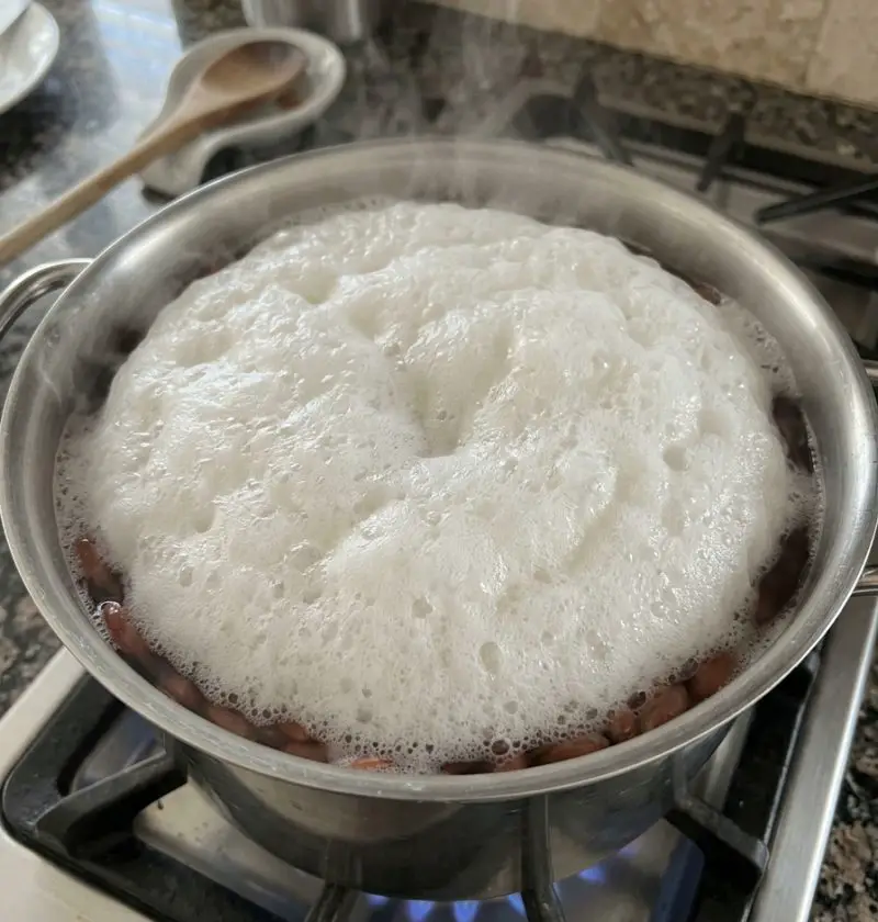 Why Beans Get That Weird White Foam When Boiling — And Why It’s Totally Normal