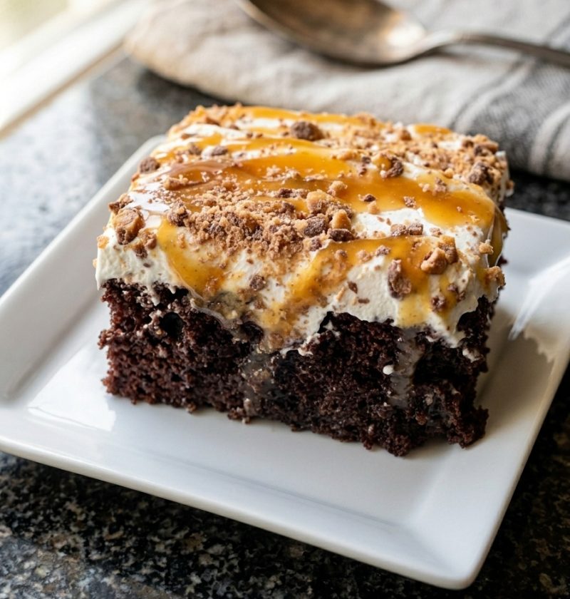 Chocolate Dream Cake