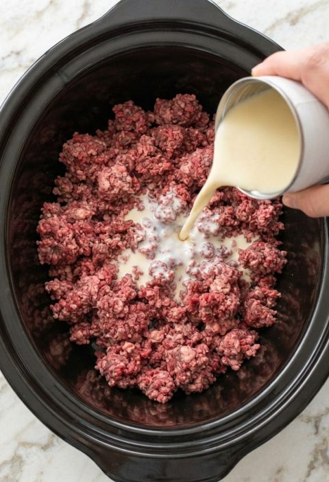 Ground Beef Stroganoff Casserole