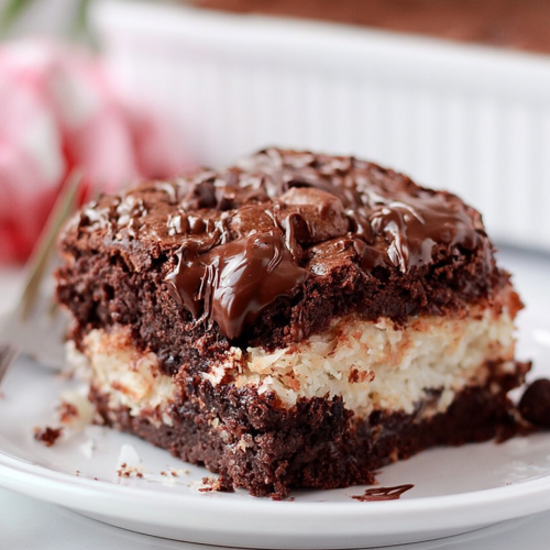 Coconut Brownies