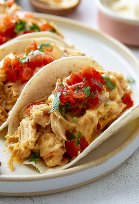 Slow Cooker Queso Chicken Tacos