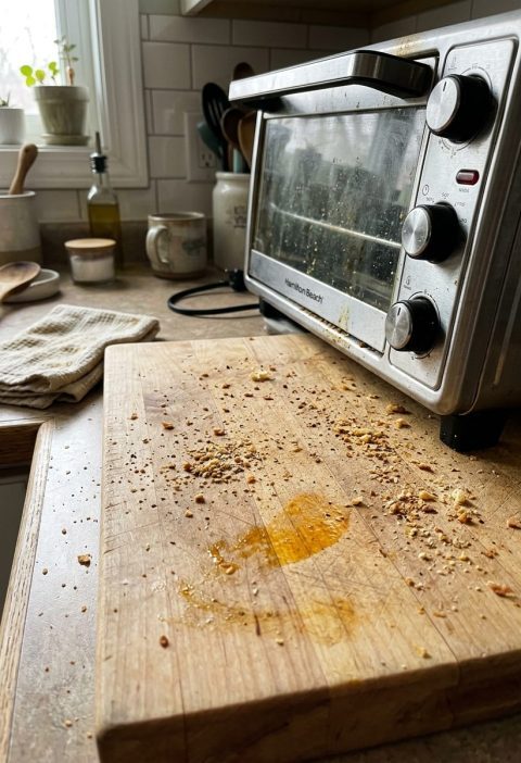 I Put a Wooden Cutting Board Under My Toaster Oven for 14 Days. Here's What Happened