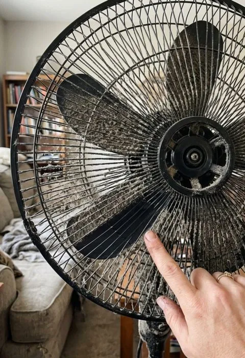 Dusty fan grille