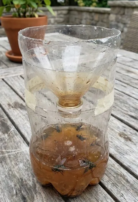 Plastic bottle fly trap on a patio table
