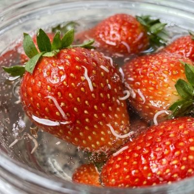 Popular Recipes
